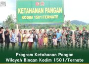 Danrem 152/Baabullah Didampingi Dandim 1501/Ternate Tinjau Lahan Program Ketahanan Pangan di Halbar