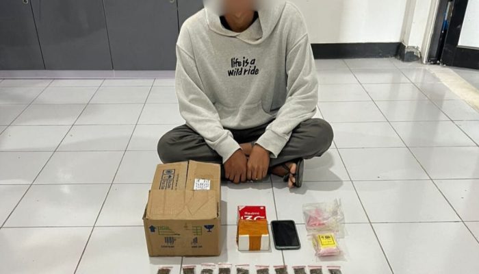 Seorang Pemuda Diamankan Polda Malut Diduga Edarkan Ganja di Weda