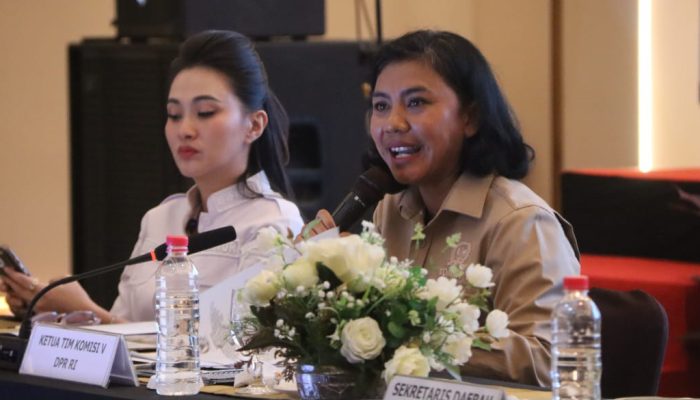 Bersama Irine Yusiana, Komisi V DPR RI Tinjau Infrastruktur Maluku Utara Saat Masa Reses