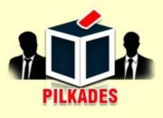 Pilkades Tepeleo Batu Dua di Halteng Memanas dan Desak BPMD